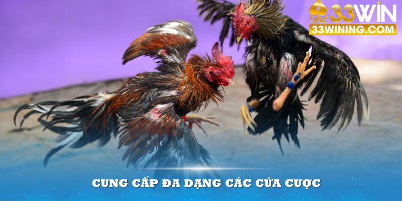 Cổng game cung cấp đa dạng các cửa cược hấp dẫn cho bạn