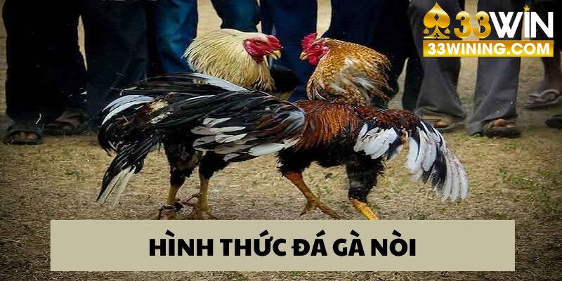 Đá gà nòi hình thức giải trí hấp dẫn 