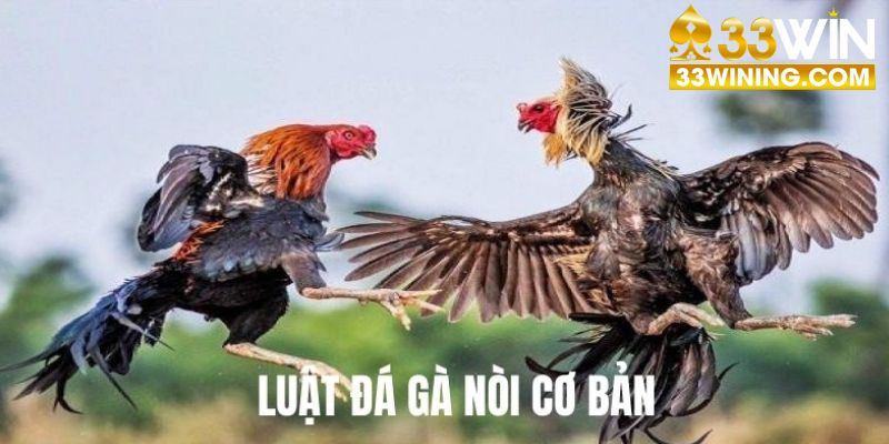 Luật cơ bản của hình thức đá gà nòi 